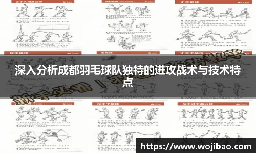 深入分析成都羽毛球队独特的进攻战术与技术特点